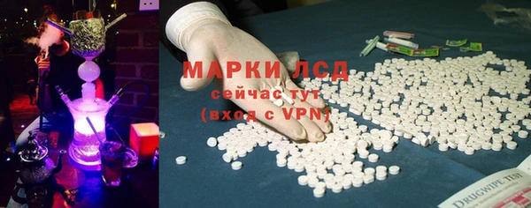 spice Каменка