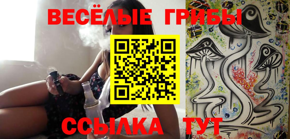 Галлюциногенные грибы Psilocybine cubensis  Братск 