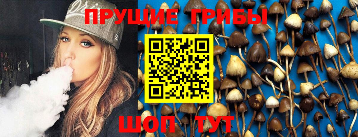 Псилоцибиновые грибы GOLDEN TEACHER  Псилоцибиновые грибы мухоморы  Вход с VPN  Братск 