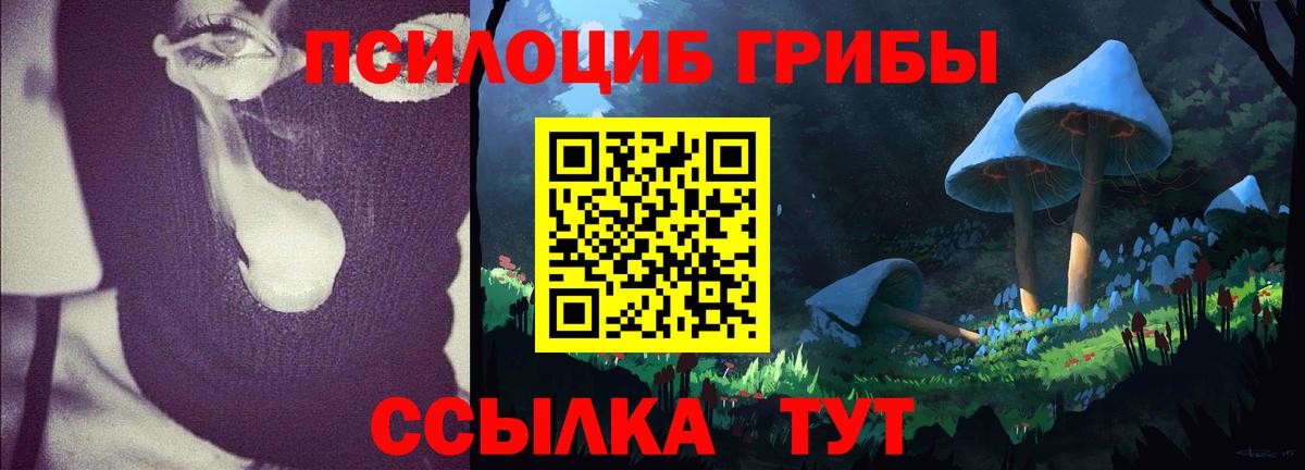 Галлюциногенные грибы мицелий Братск